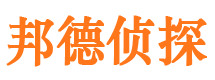 岚县侦探公司